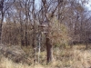 Tree Stand