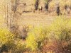 20201008_095907