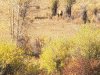 20201008_095909