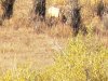 20201008_100141