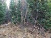 20201010_074007