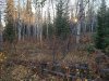 20201010_074301