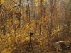 20201010_083147