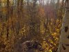 20201010_083149
