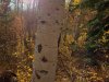 20201010_083151