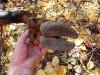 20201010_090058