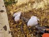20201010_102524