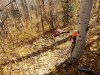 20201010_111023