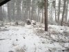 20201011_120324