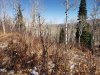 20201012_111618