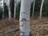 20201014_073758
