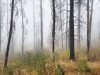 img_20160916_223444