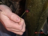 Tagged Bass