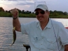 Bert\'s avg catch