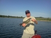 MoneyCraw!