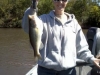 Megg\'s Bass