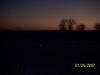 Night on the Ice