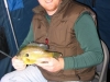 Nice Gill