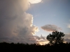 Weather