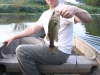 Mock Spinnerbait