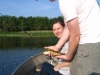 Four Species Day - Perch
