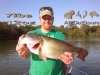 Hickory Grove Giant