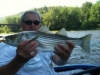 Deleware River Striper