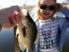 Crappie