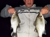 White Bass