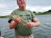 Walleye