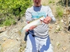 Montana Rainbow