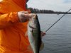 20180119_104447.jpg