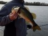 20180119_105640.jpg