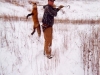 1st Red Fox Trapped