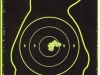 200 yrds .17 cal