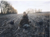 Mike Turkey