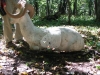Rhinehart 09