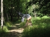 Rhinehart 09