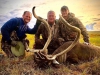 Gary\'s Alaska Caribou