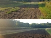 2017 Food Plots