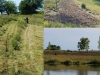 2017 Food Plots