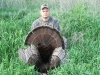 Joe Turkey 07