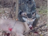 Kyle 2009 Buck