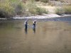 Wading