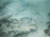 Underwater