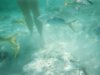 Underwater
