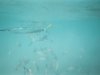 Underwater