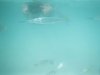 Underwater