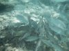 Underwater