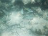 Underwater